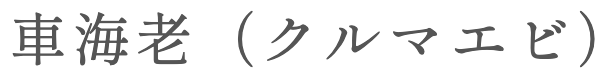 kurumaebi in Japanese