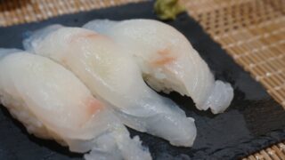 Largetooth Flounder Sushi [Hirame]