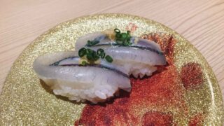 Halfbeak Sushi [Sayori]